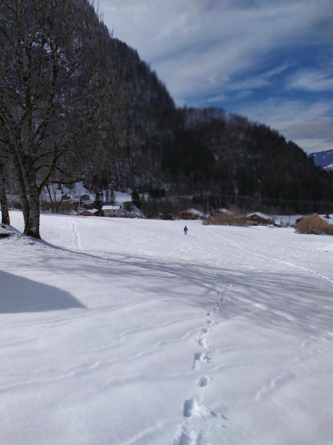Le Clair Logis Villa Sixt-Fer-a-Cheval ภายนอก รูปภาพ